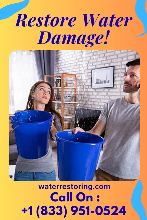 water restoration Elite Disaster Cleanup Professionals Highland Park
