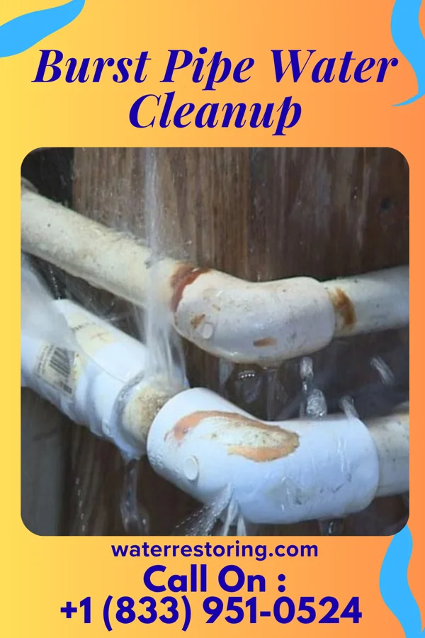 Burst Pipe Water Cleanup in Highland Park, NJ