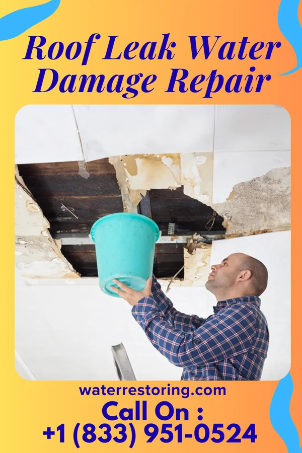 Roof Leak Water Damage Repair in Highland Park, NJ