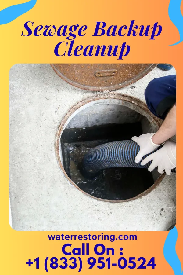 Sewage Backup Cleanup in Highland Park, NJ
