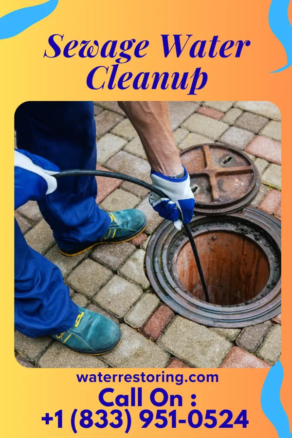 Sewage Water Cleanup in Highland Park, NJ
