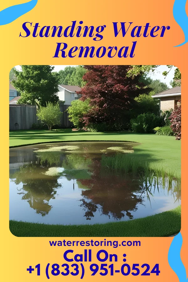 Standing Water Removal in Highland Park, NJ